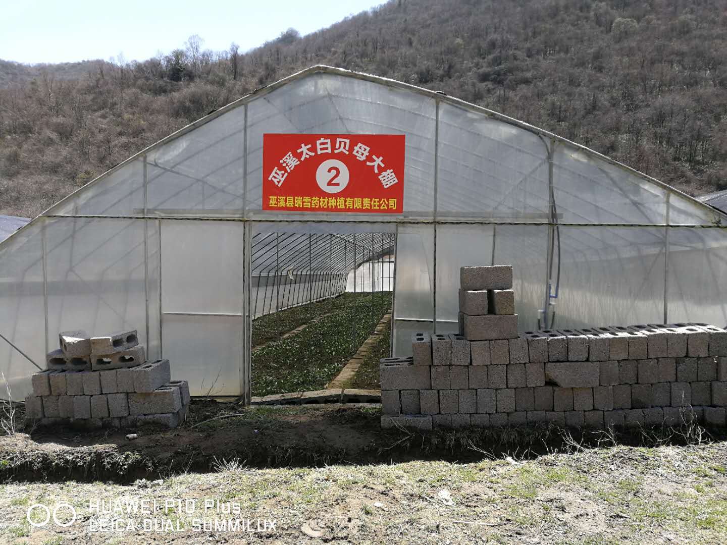 巫溪太白貝母大棚2號(hào)